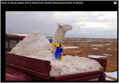 Schneekamel Kopie Schneekamel Kopie