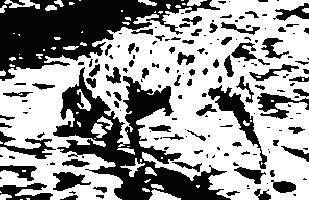 Seh-Akt_Hund Seh-Akt_Hund